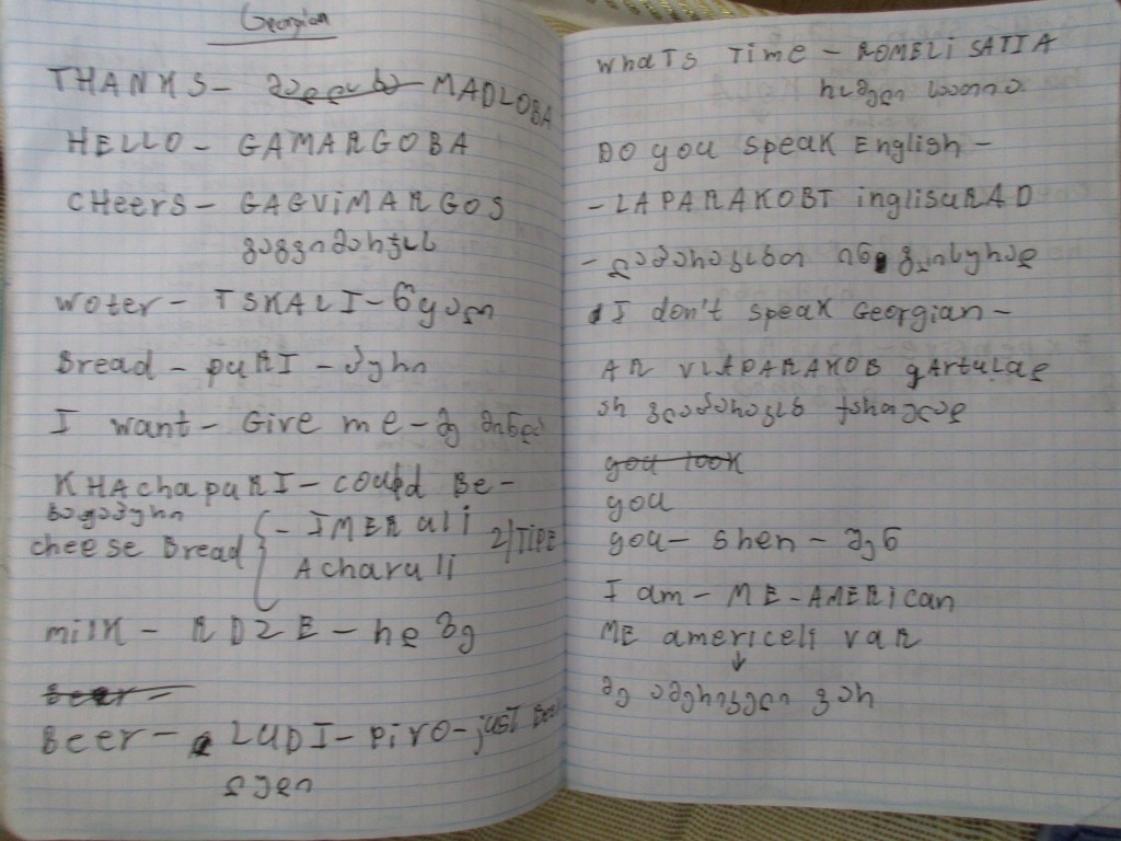 Drunk Georgian lessons on the airplane