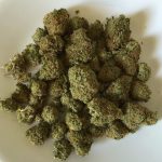 Trimmed Marijuana